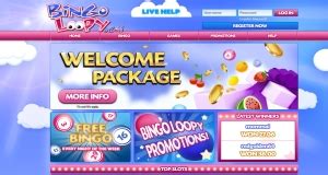 bingoloopy|BingoPlus .